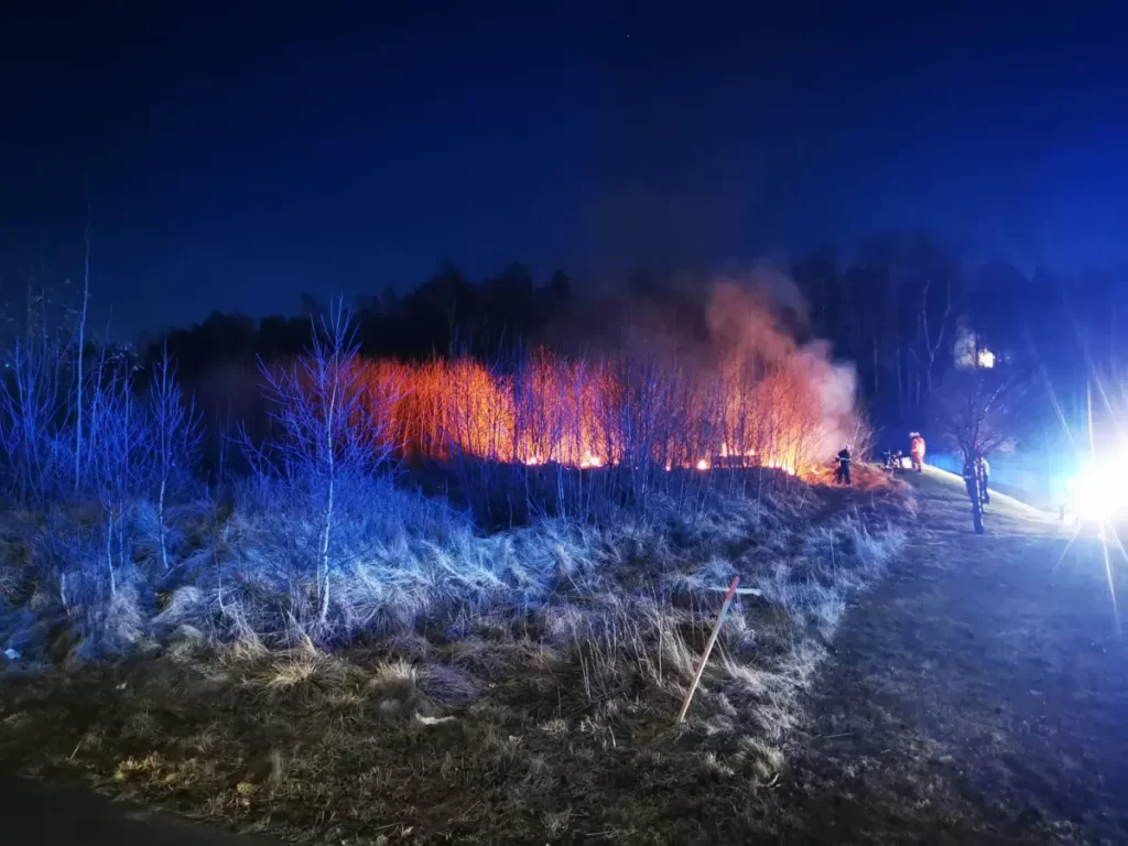 Gräsbrand vid A6 i Jönköping efter att en nödraket antände gräs