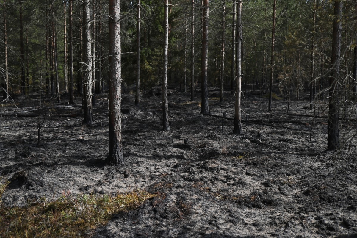 Skogsbrand vid Stigamo