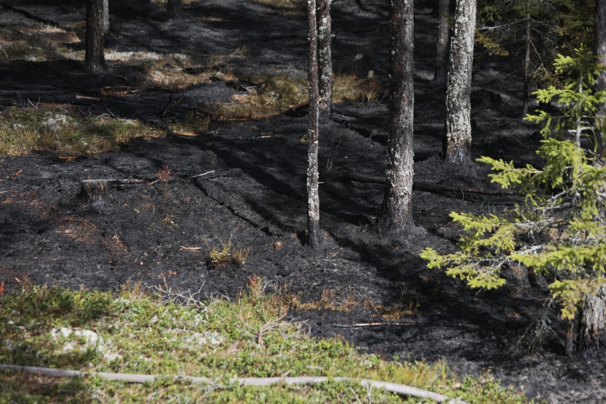 Skogsbrand vid Stigamo