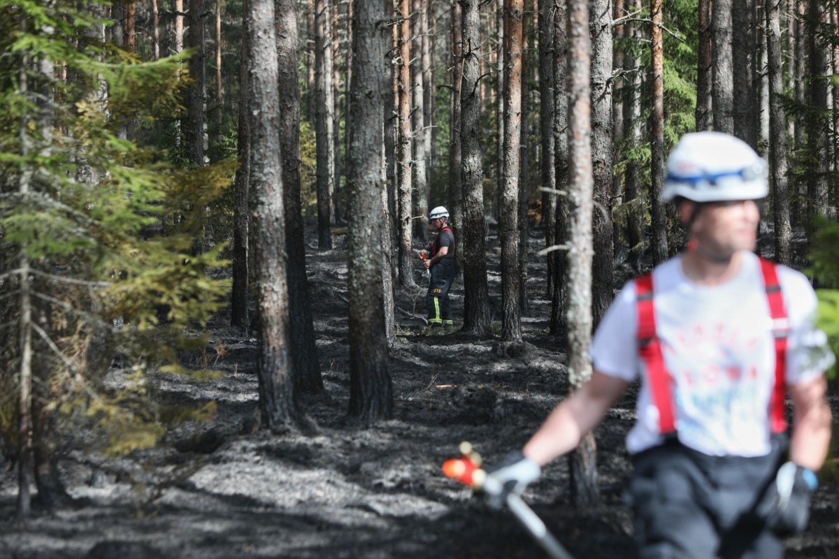 Skogsbrand vid Stigamo