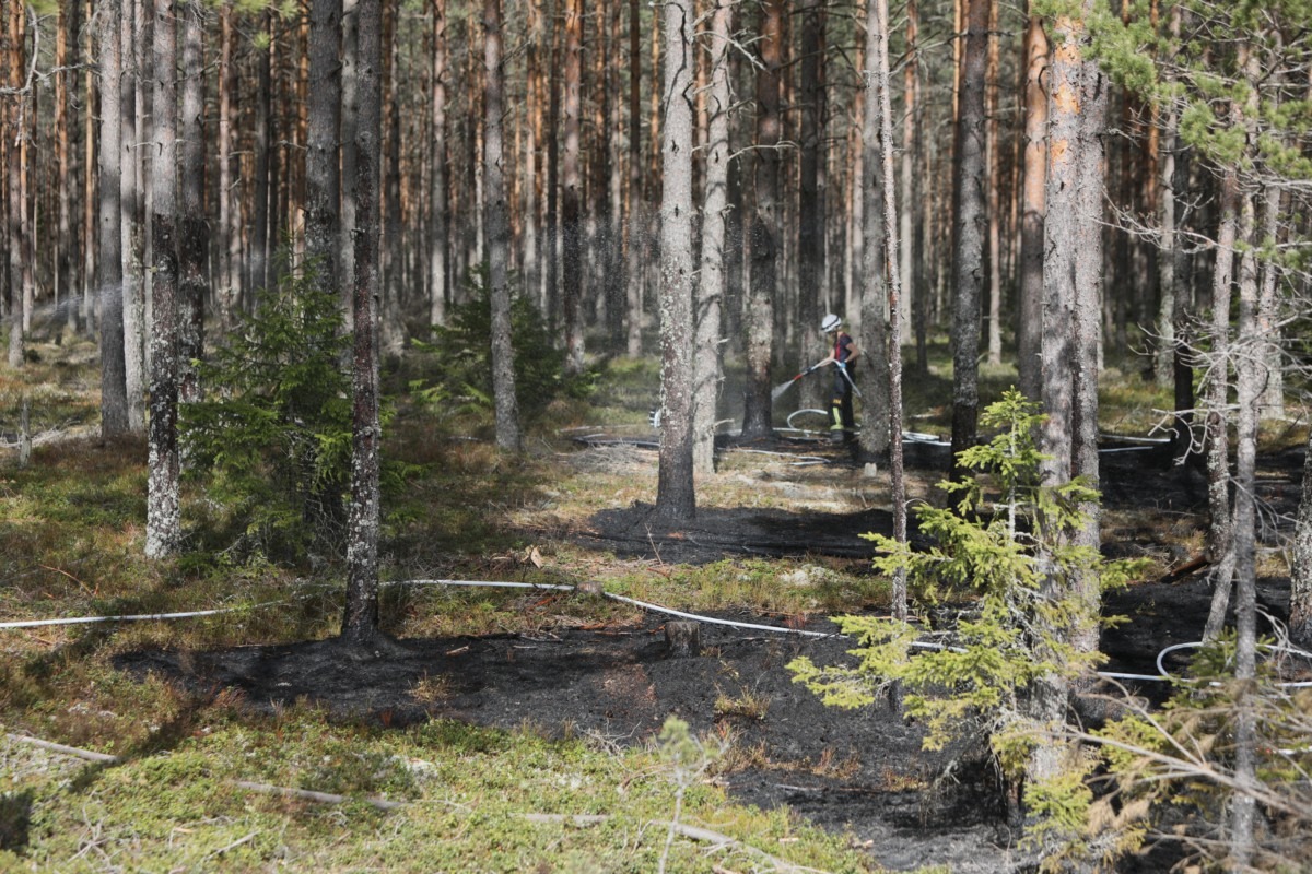 Skogsbrand vid Stigamo
