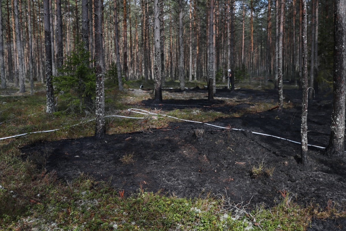 Skogsbrand vid Stigamo
