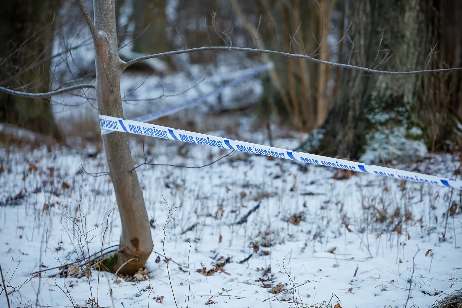 Polis allvarligt skadad vid insats - Avspärrningar i skogsområdet vid Kungsängen
