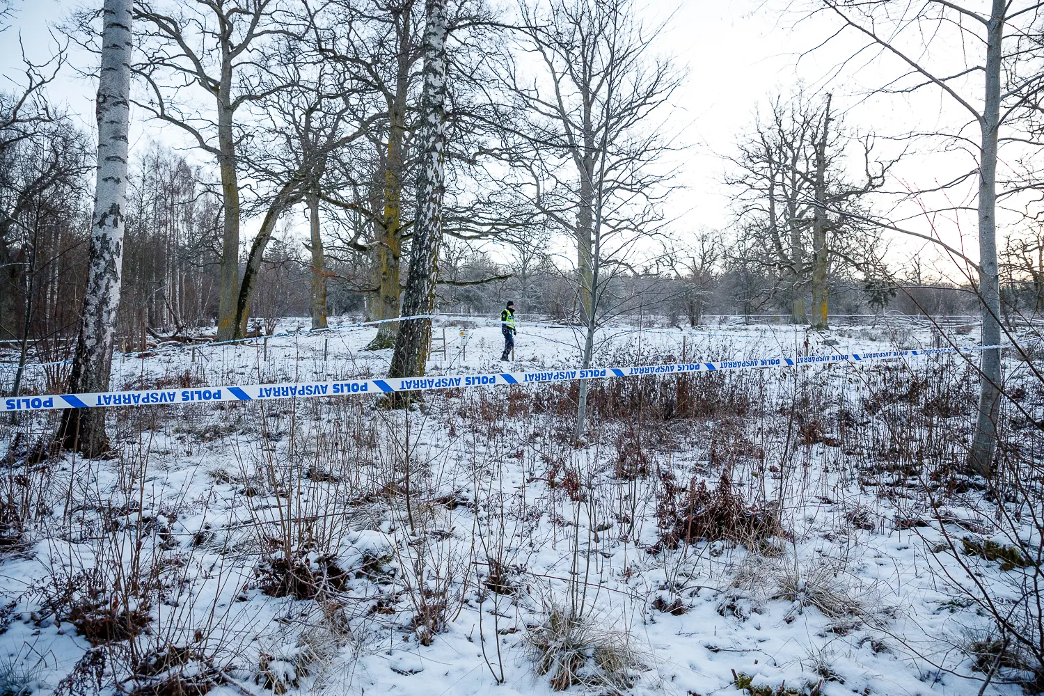 Avspärrningar i skogsområdet vid Kungsängen.