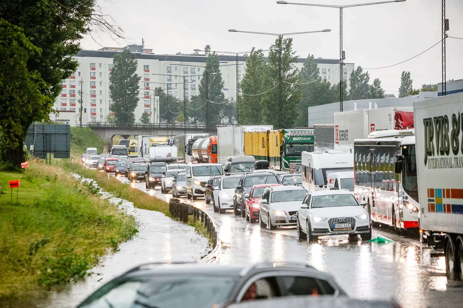 Köer vid översvämning på E4 vid Österängen i Jönköping efter regnoväder