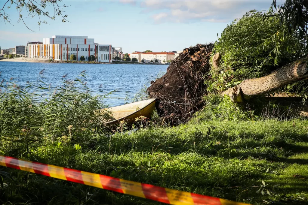 Träd föll över gång- och cykelbana vid Munksjön