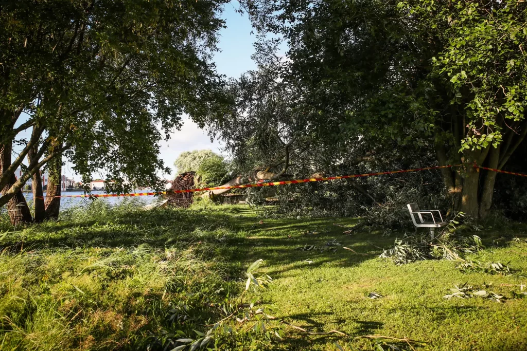 Träd föll över gång- och cykelbana vid Munksjön