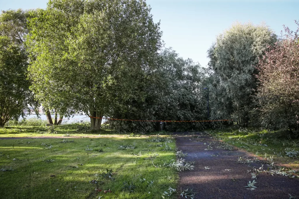 Träd föll över gång- och cykelbana vid Munksjön