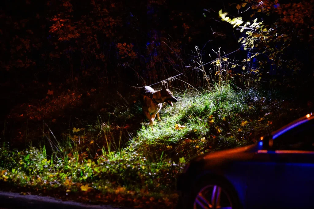 Polisen söker med hund på Öxnehaga efter skottlossning.