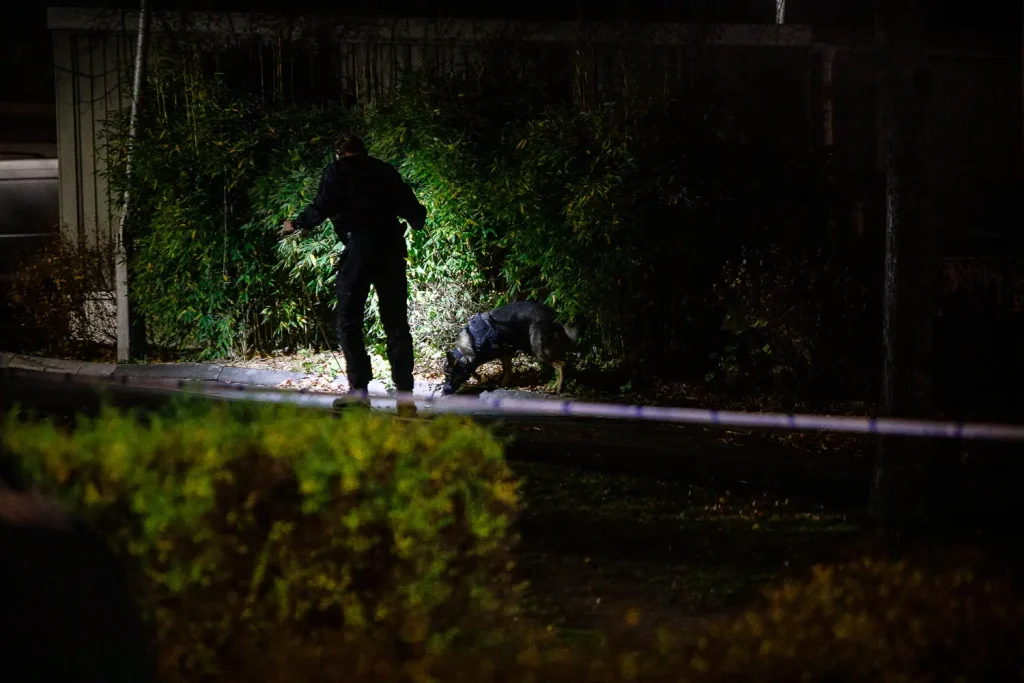 Polisen söker med hund på Öxnehaga efter skottlossning.