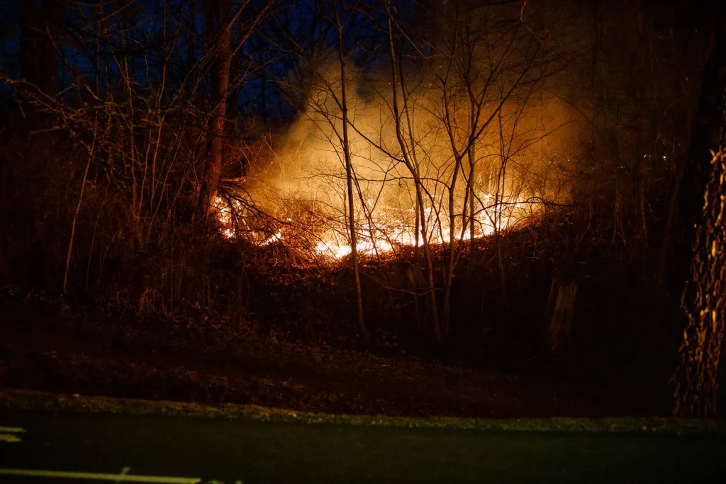 Brand vid Oset badplats