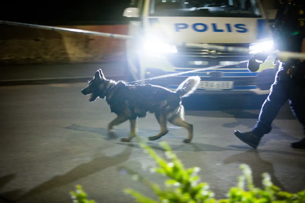 Misstänkt skottlossning i Gislaved