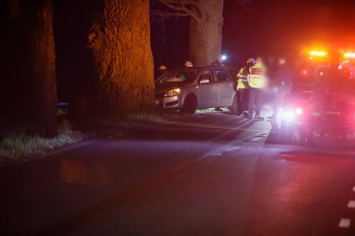 Singelolycka på Björnebergsvägen - krockade med träd