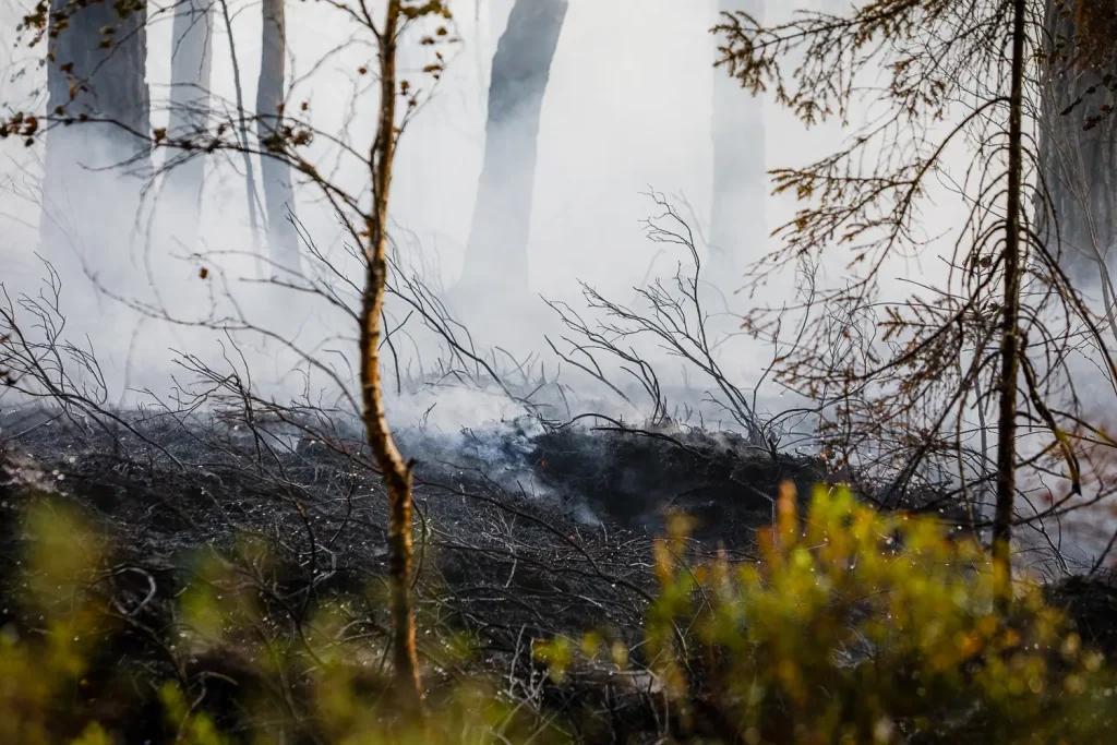 Terrängbrand vid sjön Fängen