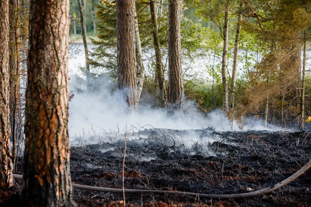 Terrängbrand vid sjön Fängen