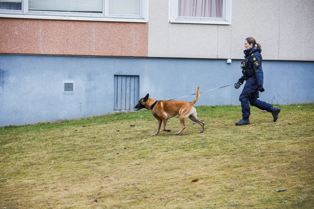 Misstänkt föremål i bostad - bombskyddet kallades in