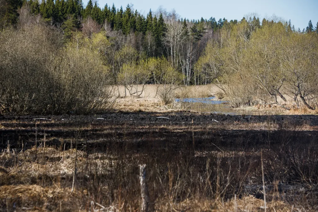 Terrängbrand vid Lekeryd