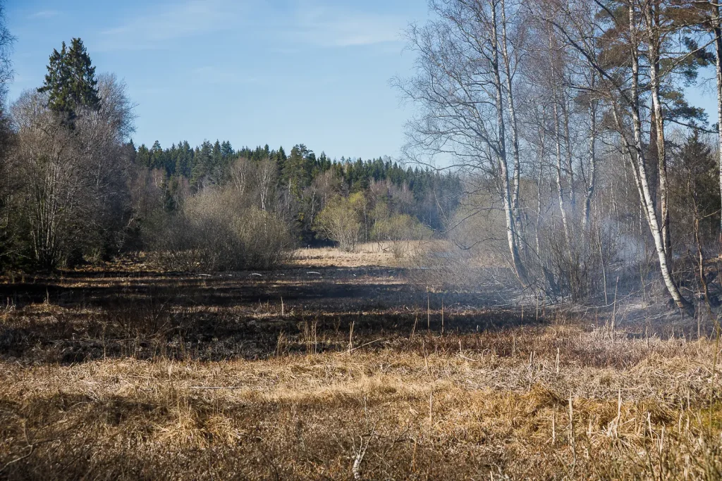 Terrängbrand vid Lekeryd