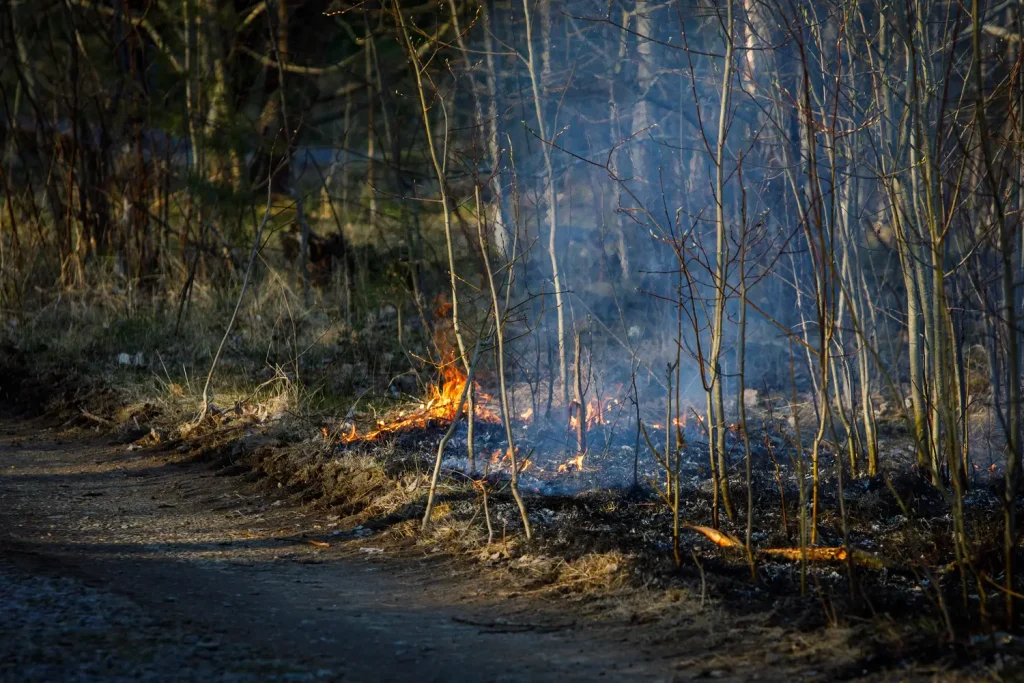 Gräsbrand vid Havsörnsgatan