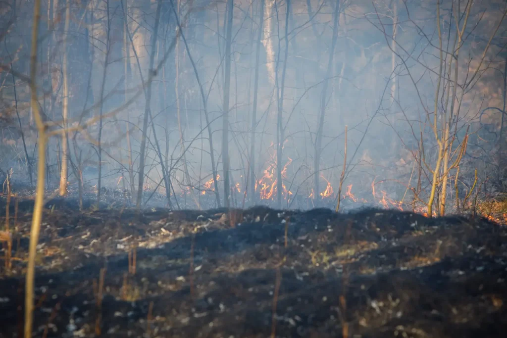 Gräsbrand vid Havsörnsgatan