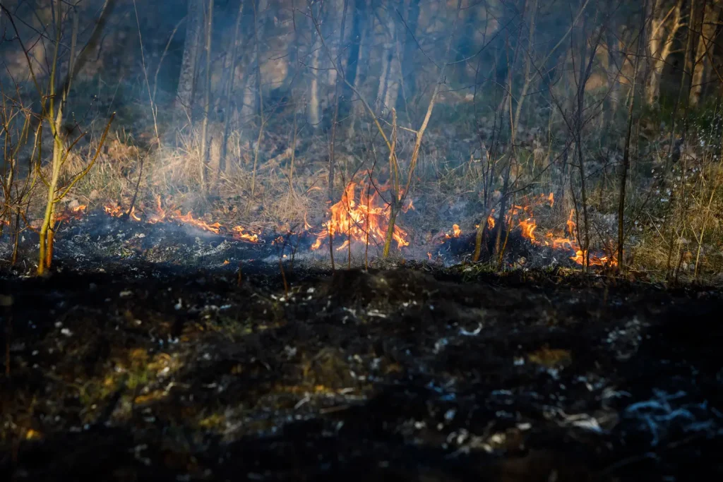 Gräsbrand vid Havsörnsgatan