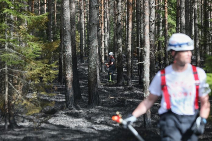 Skogsbrand vid Stigamo
