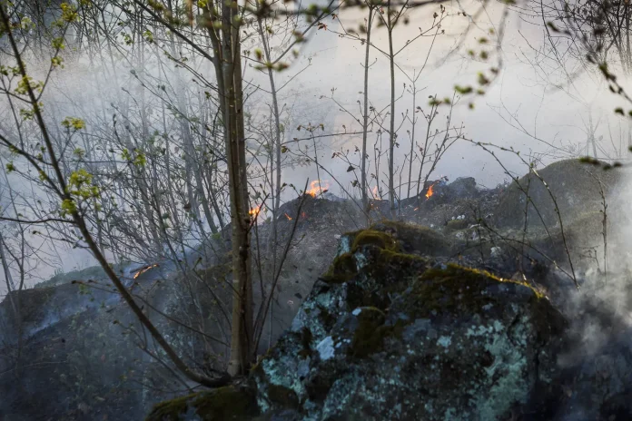 Brand i terräng nedanför Stadsparken